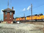 UP 9905